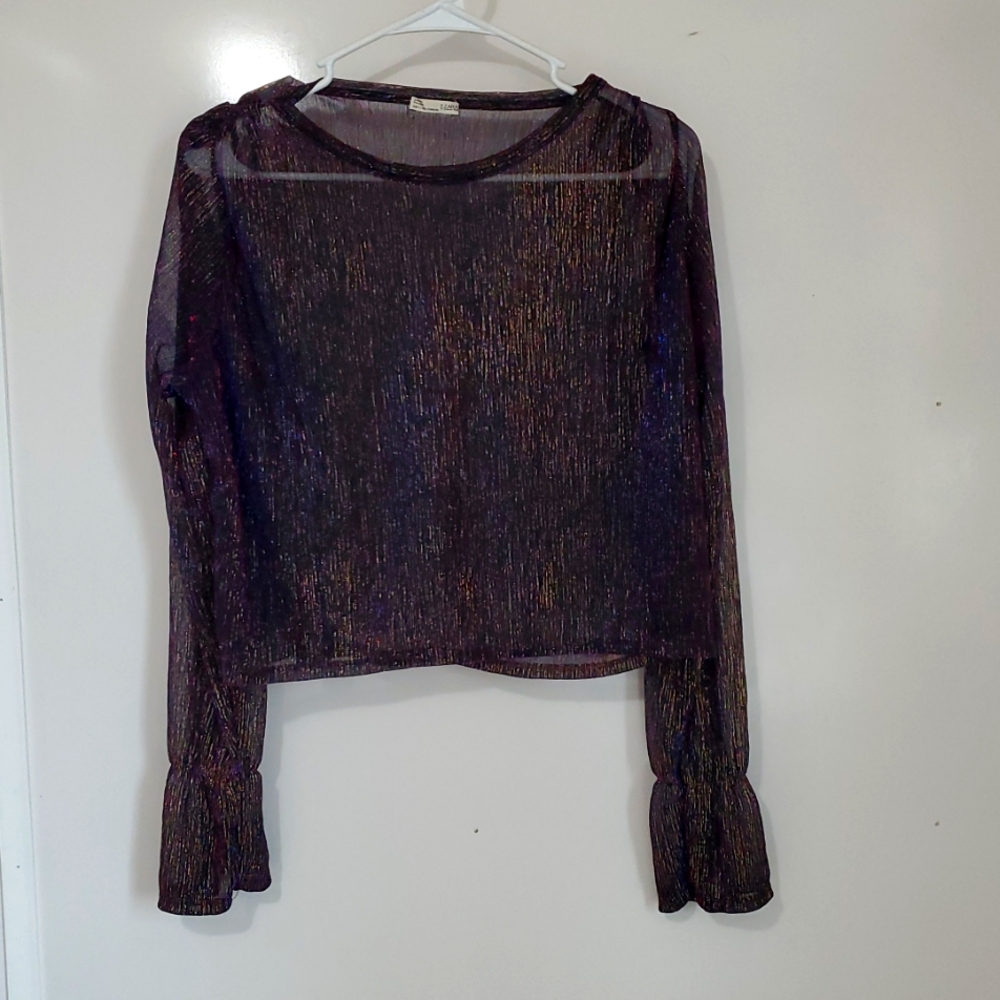 Zara Colorful Sheer Top Final Price